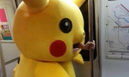 皮卡丘娱乐圈吃瓜,吃瓜群众眼中的萌宠明星