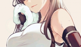 蒂法动漫,动漫中的冷艳女战士与她的传奇故事